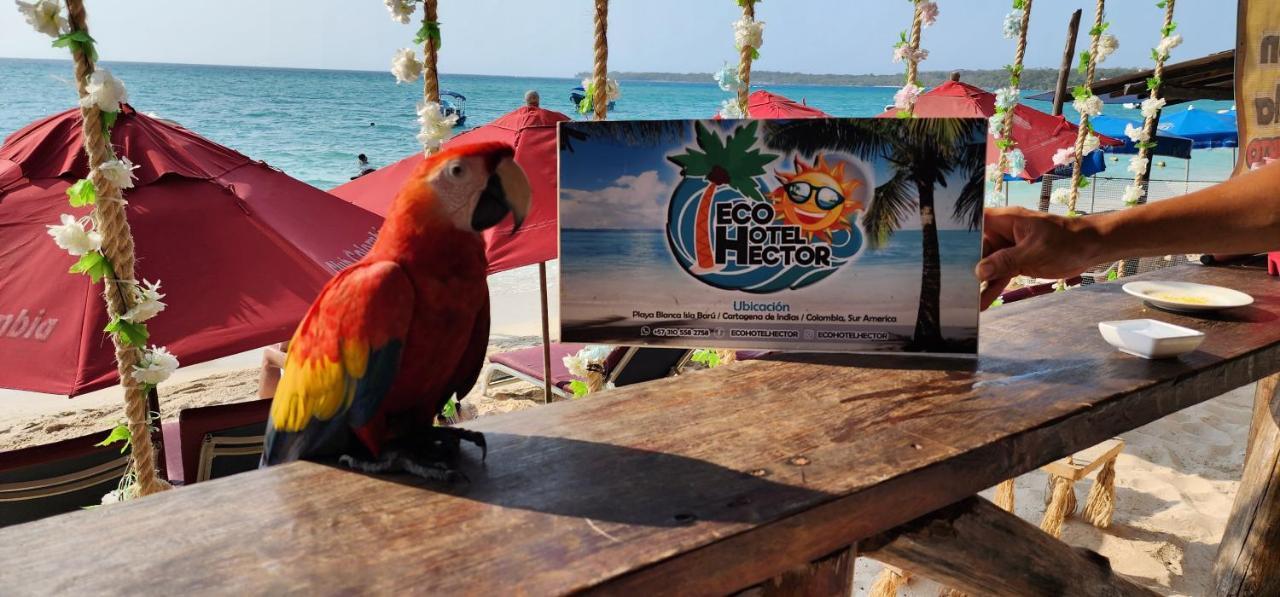 Ecohotelhector بلايا بلانكا المظهر الخارجي الصورة