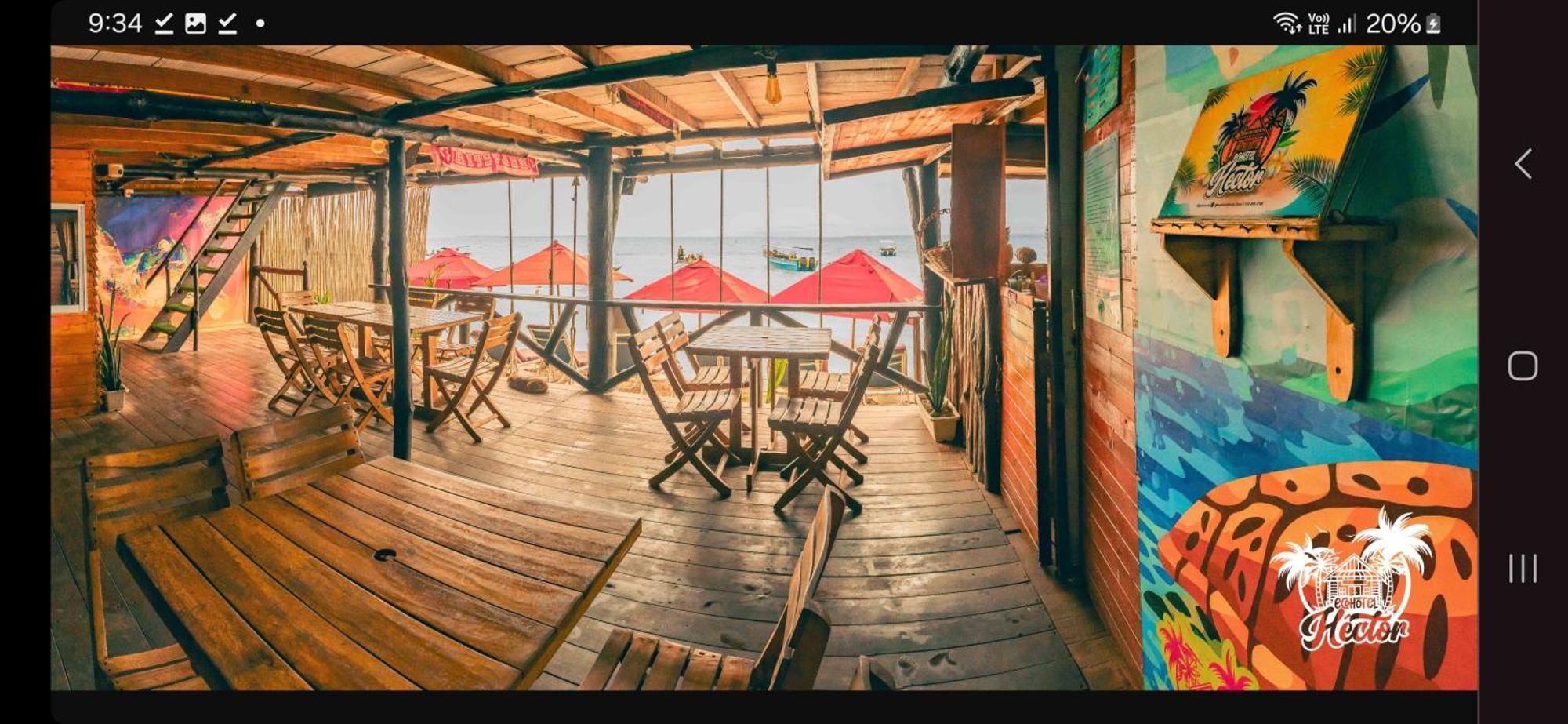 Ecohotelhector بلايا بلانكا المظهر الخارجي الصورة