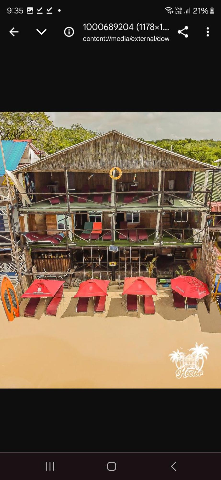 Ecohotelhector بلايا بلانكا المظهر الخارجي الصورة