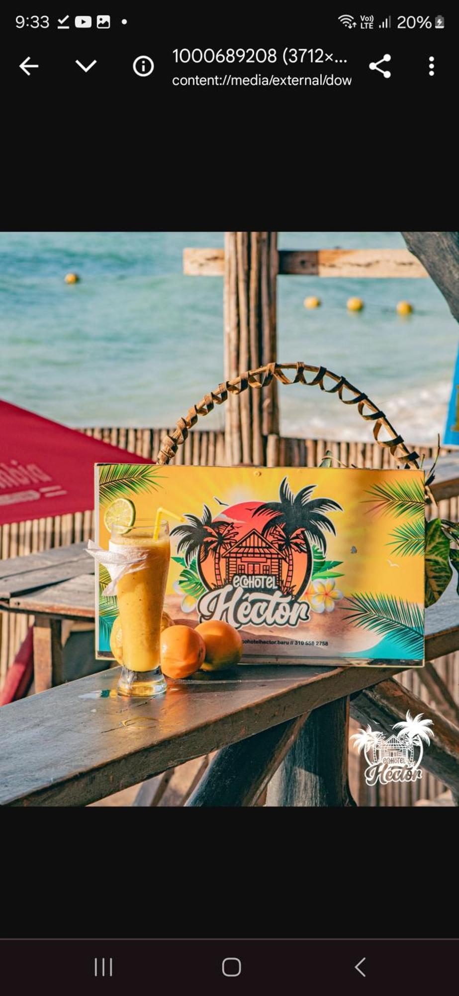 Ecohotelhector بلايا بلانكا المظهر الخارجي الصورة
